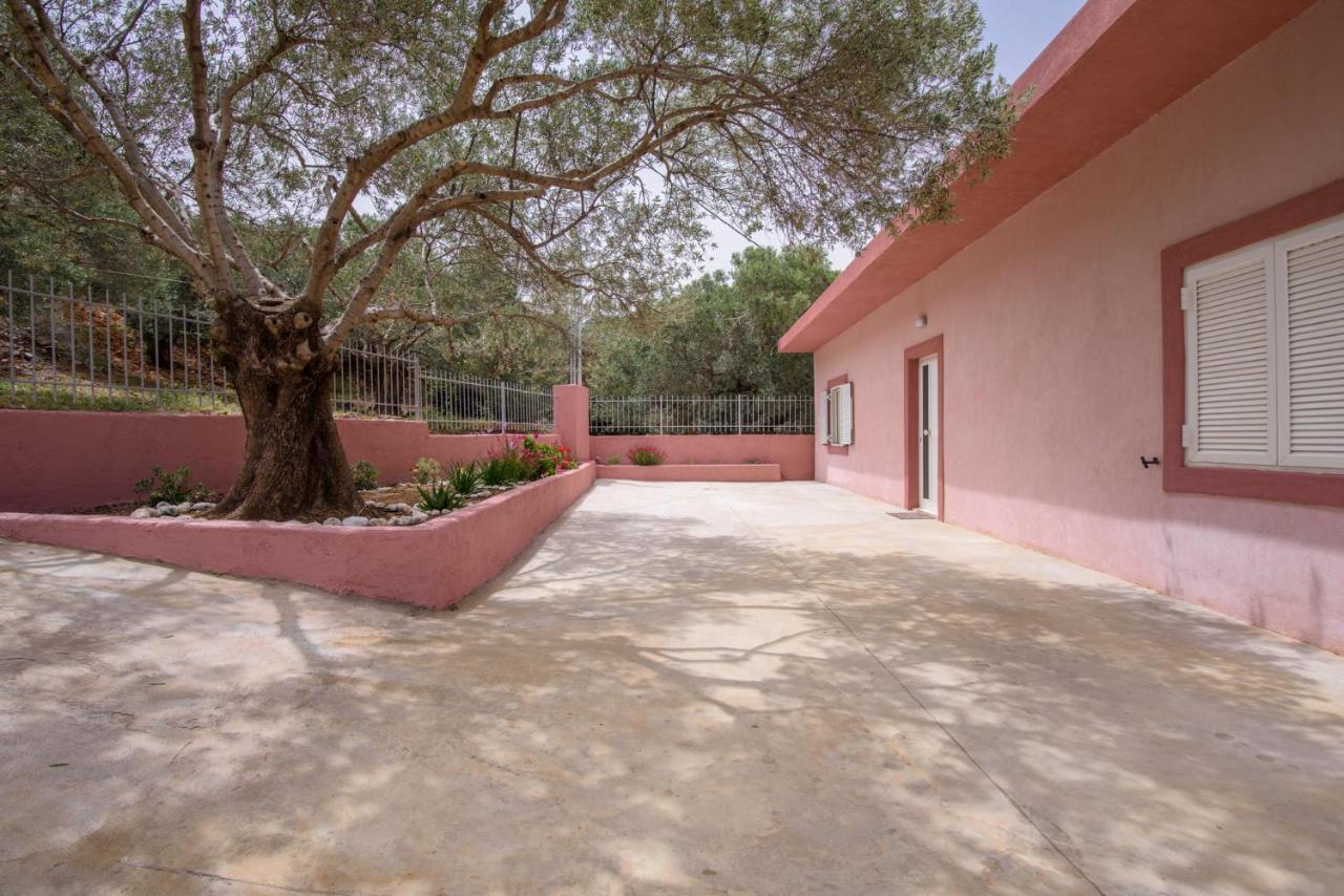 Palm Beach House Sfinárion Esterno foto